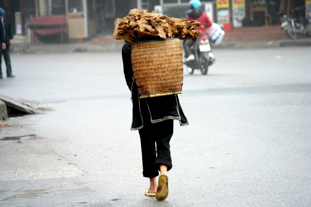 Vietnam : voici nos incontournables