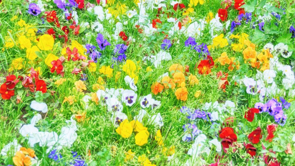 Impressionnisme : l’effet de surprise d’une nouvelle vision artistique
