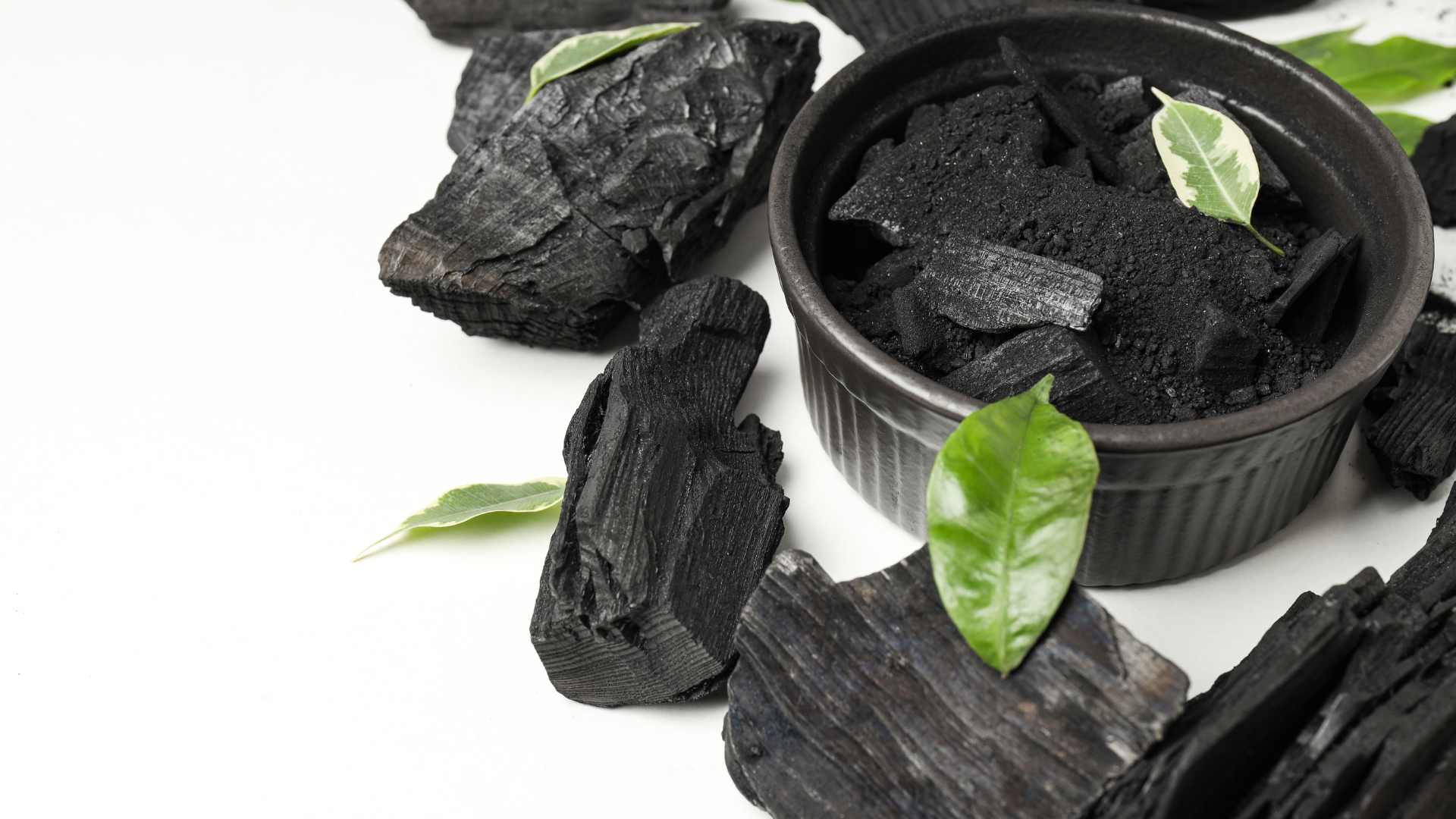 poudre de charbon