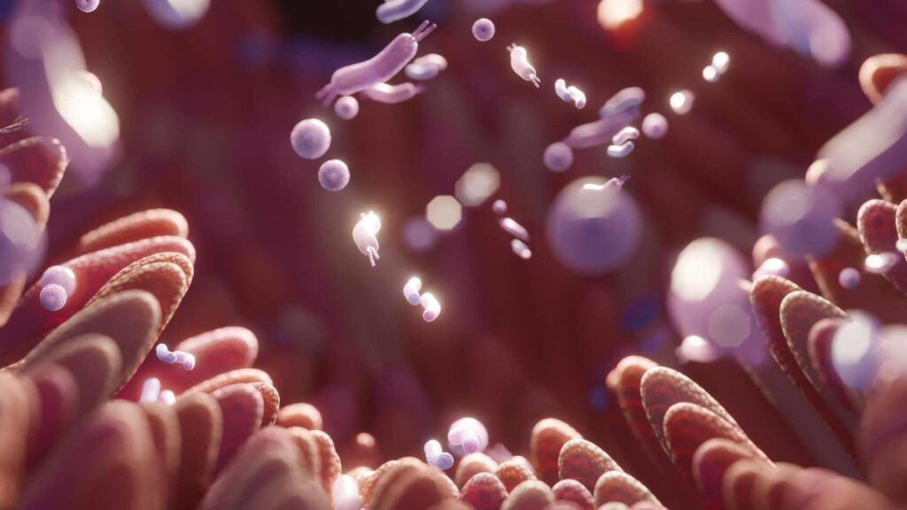 Microbiote et émotions : quel lien pour notre bien-être ?