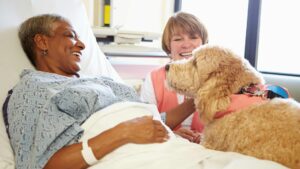 chien au chevet d'une vieille dame