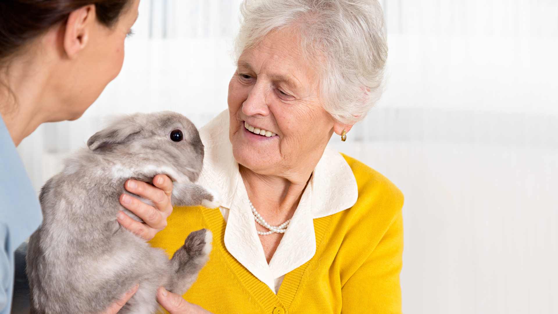 petit lapin avec une vieille dame