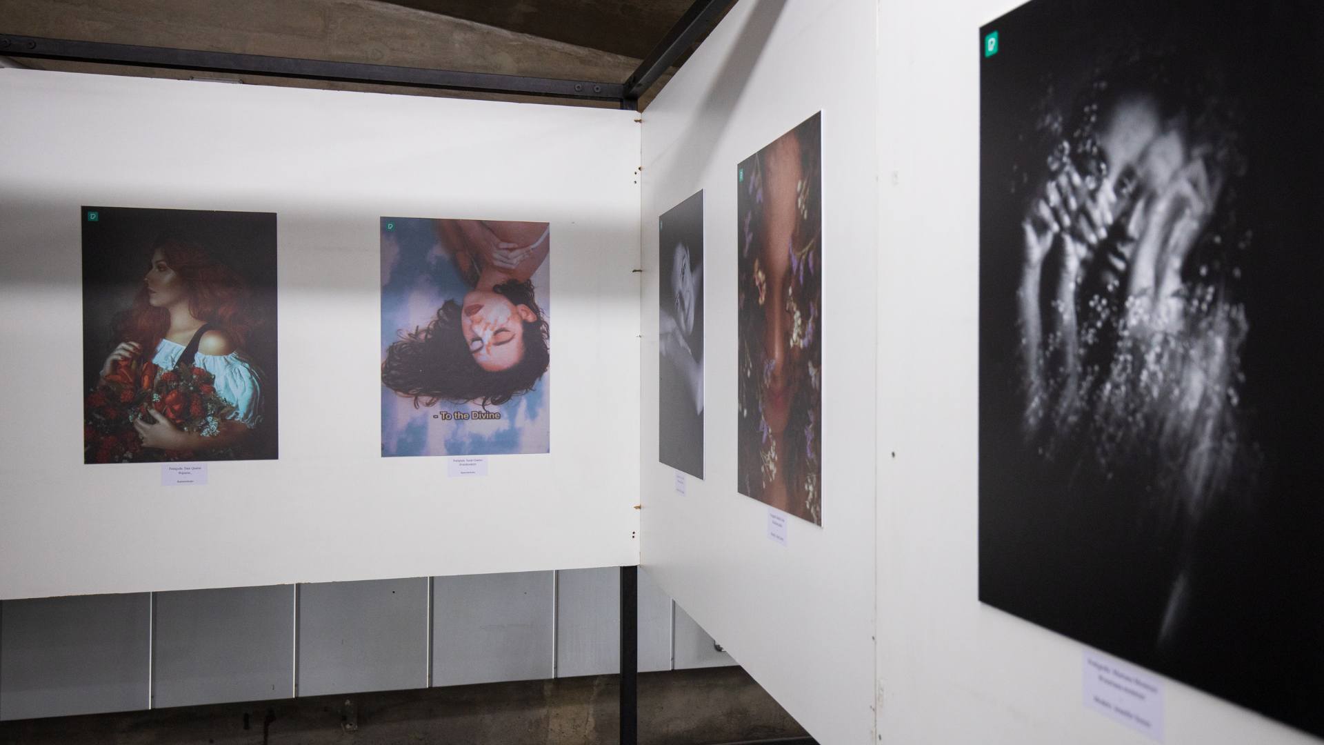 Exposition dans un musée